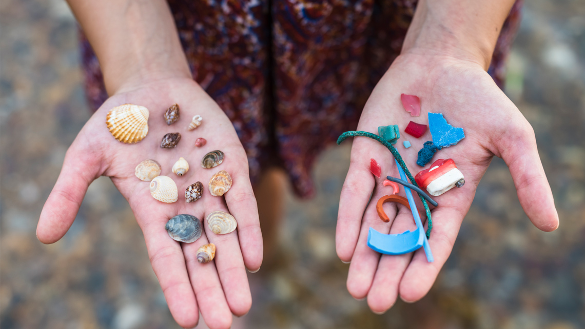 A person holding small sea shells on the one hand and small plastic pieces on the other hand.