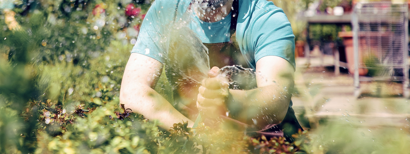 A person watering flowers in a garden.